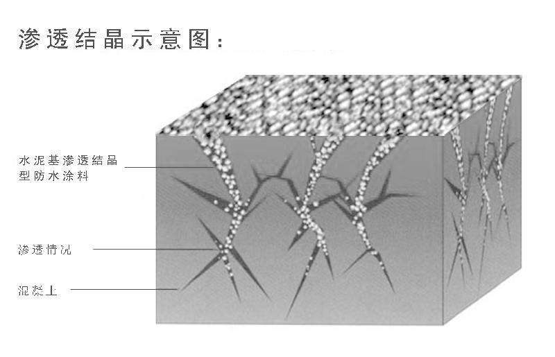 滲透結晶